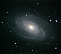 M81