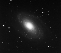 m81