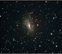 NGC925